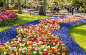 JARDIMDEKEUKENHOF-HOLANDA