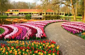 JARDIMDEKEUKENHOF-HOLANDA1